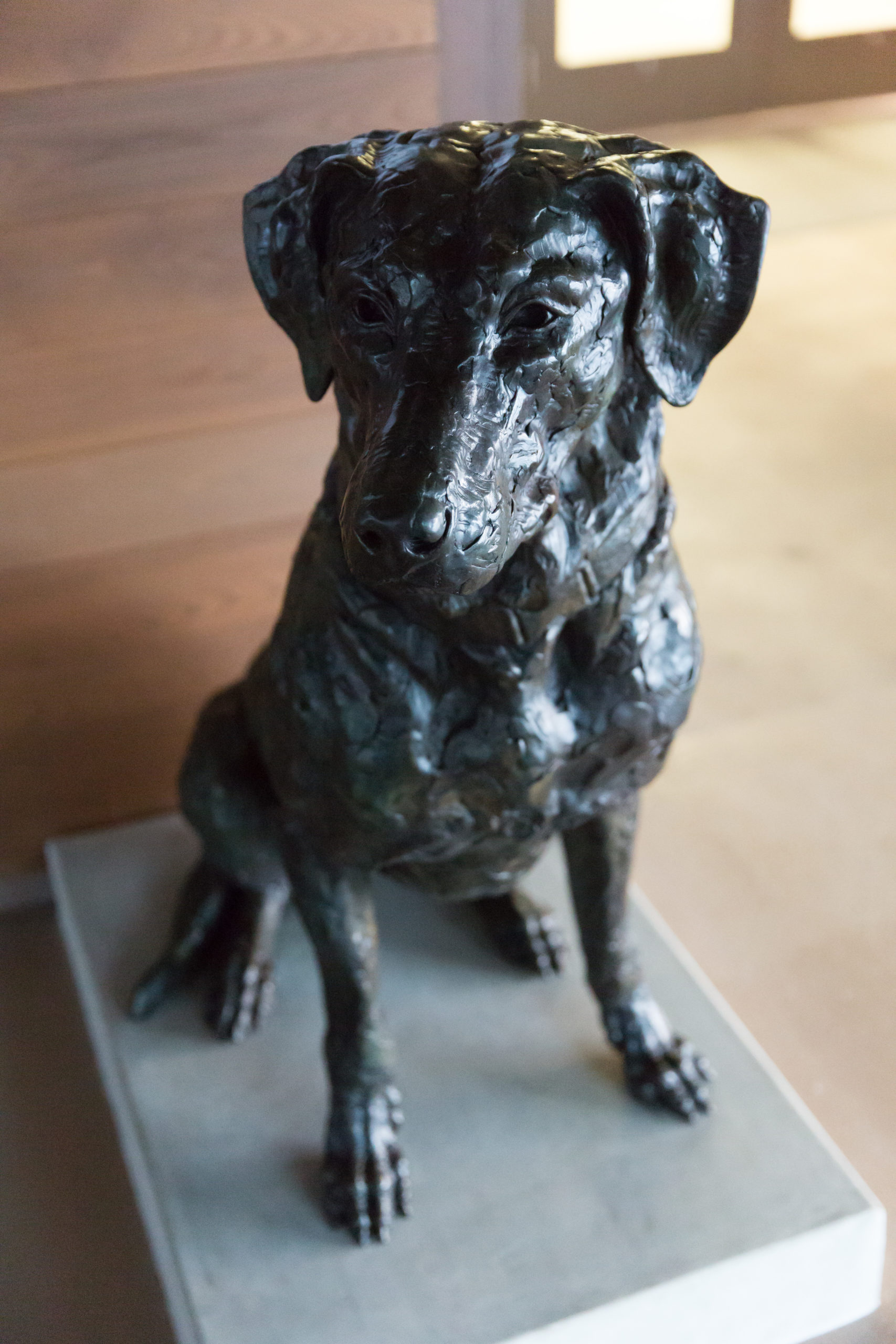 New Bronze Dog Sculpture in Kosasa Punahou School