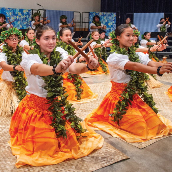 Hawaiian Music
