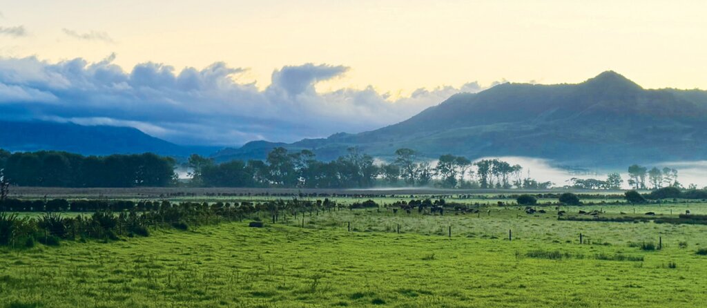 Aotearoa, the land of the long white cloud, is a land full of majestic vistas, beautiful landscapes and vibrant indigenous culture. ﻿Photo by Kēhaulani Enos